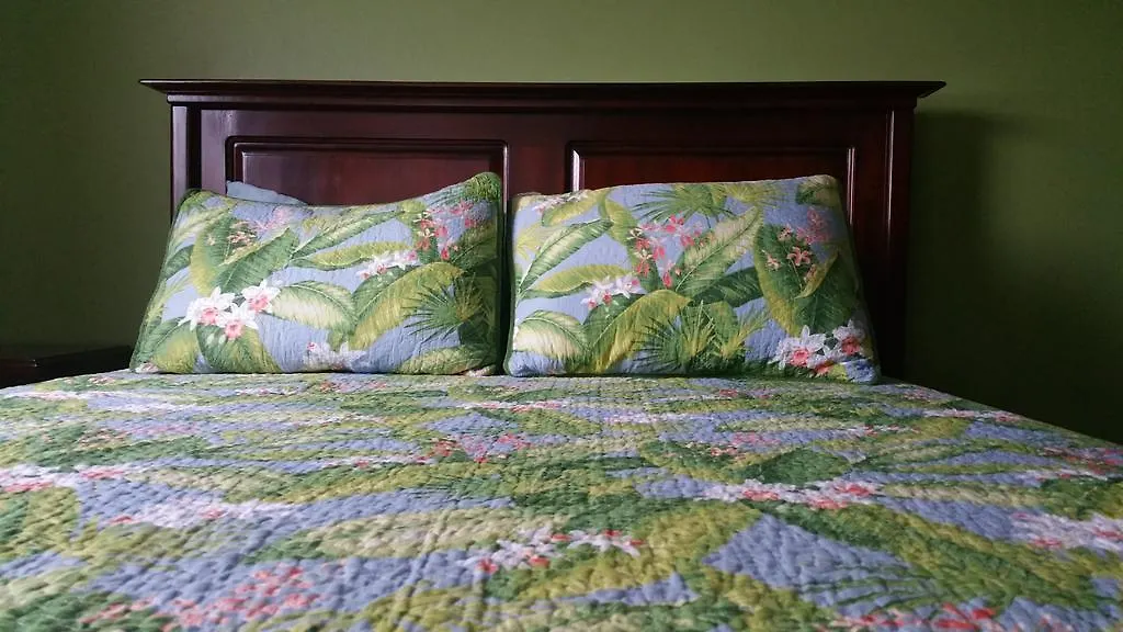 Apartamento The Oasis At Oakland Kingston