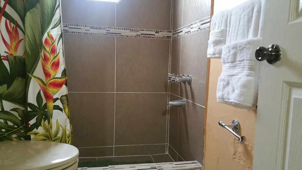 Apartamento The Oasis At Oakland Kingston 0*,  Jamaica